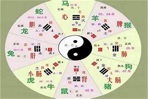 立五行|立的五行属什么,立字的五行属性,立的寓意